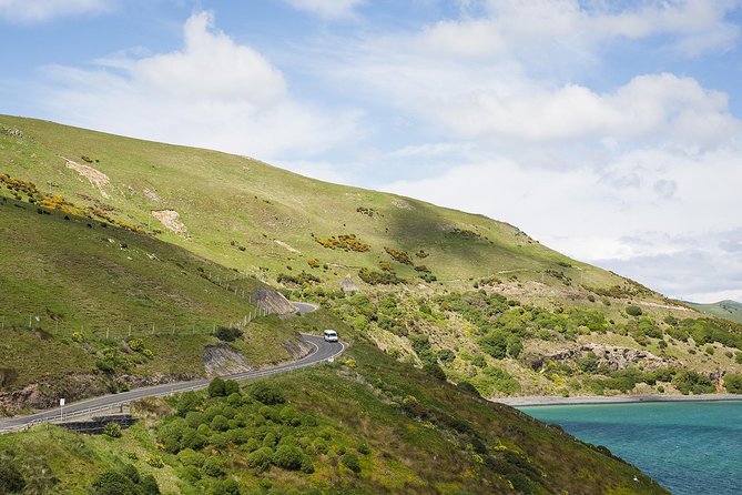 Dunedin City to Sea Wildlife Cruise + Peninsula Bus Tour - Practical tips for a better afternoon