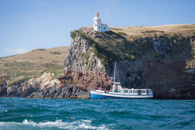 Dunedin City to Sea Wildlife Cruise + Peninsula Bus Tour - The bus ride across Otago Peninsula