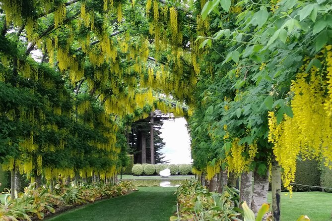 Dunedin City, Wildlife and Larnach Castle - Sandfly Bay is scenic, but the walk matters
