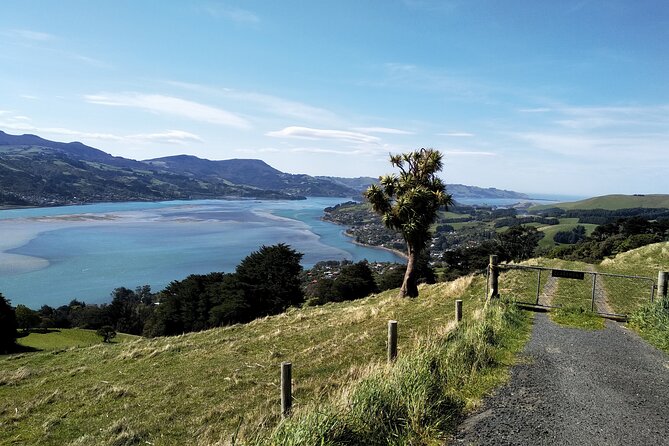 Dunedin City, Wildlife and Larnach Castle - Is $161.35 a fair price?