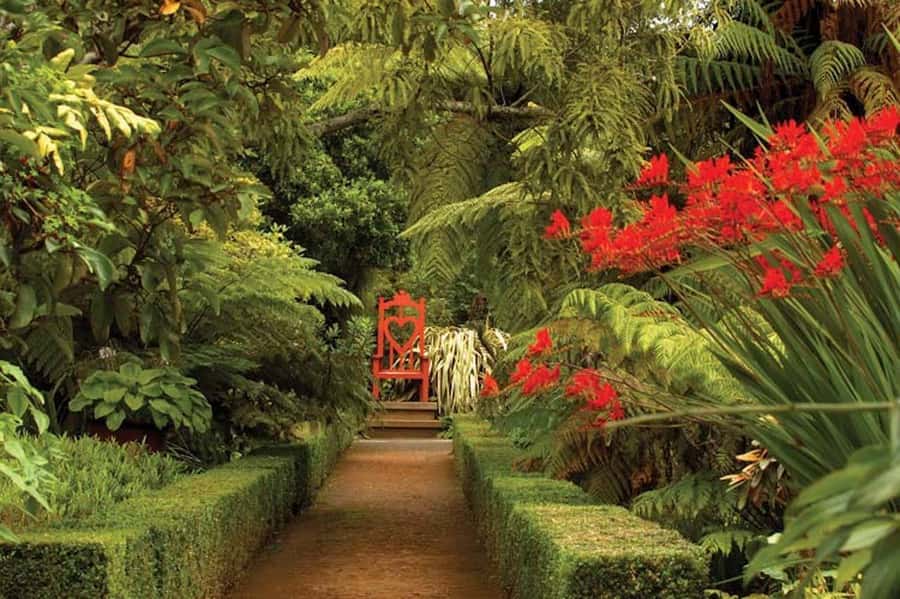 Dunedin: Larnach Castle & Gardens Admission Ticket - Entering the 1871 castle