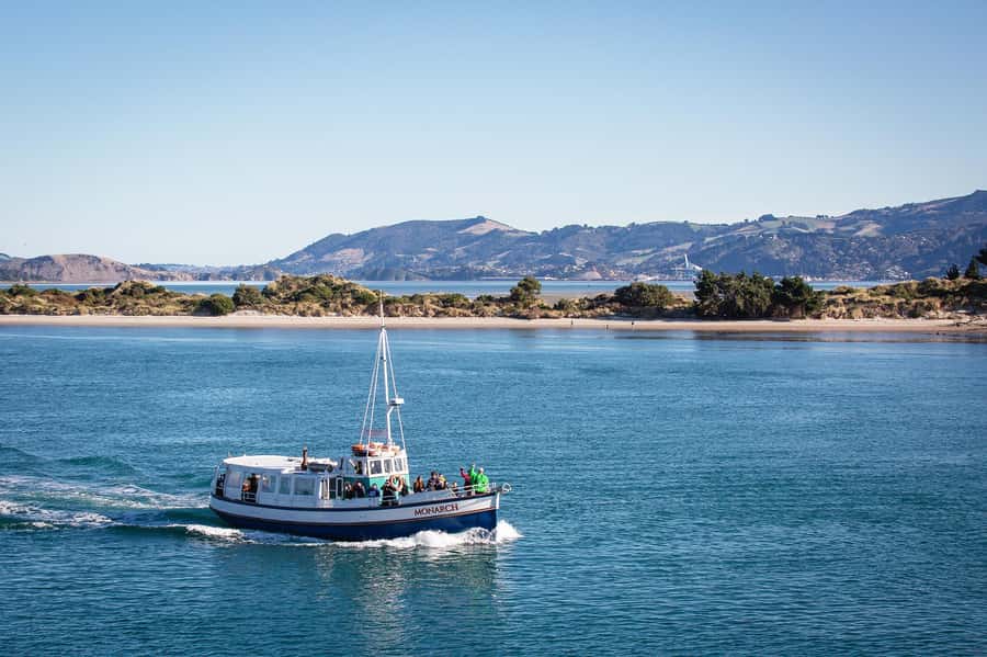 Dunedin: Monarch - One Hour Wildlife Cruise - Setting out from the harbor entrance