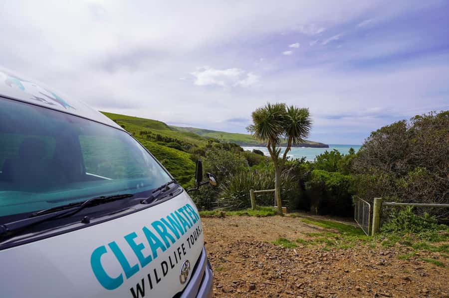 Dunedin: Otago Peninsula Clearwater Wildlife Tour - Is $134 a fair price?
