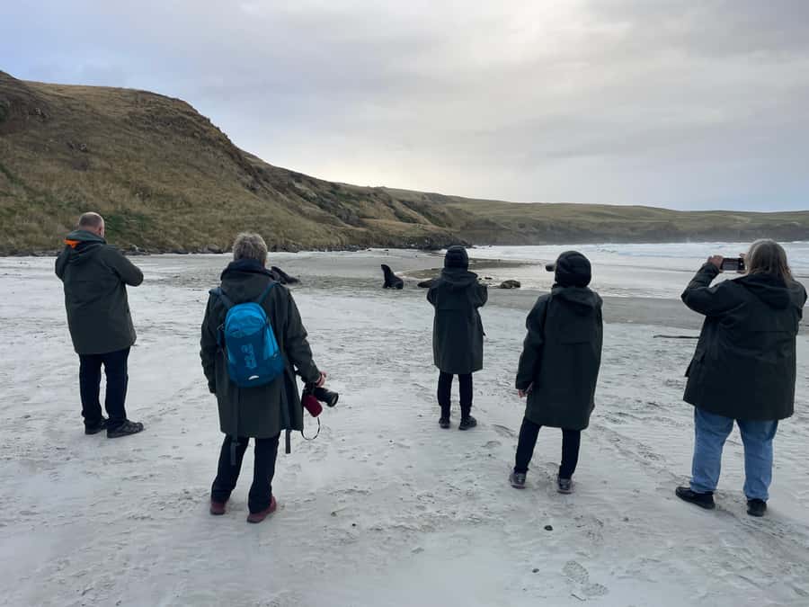 Dunedin: Otago Peninsula Clearwater Wildlife Tour - What to bring and who should book