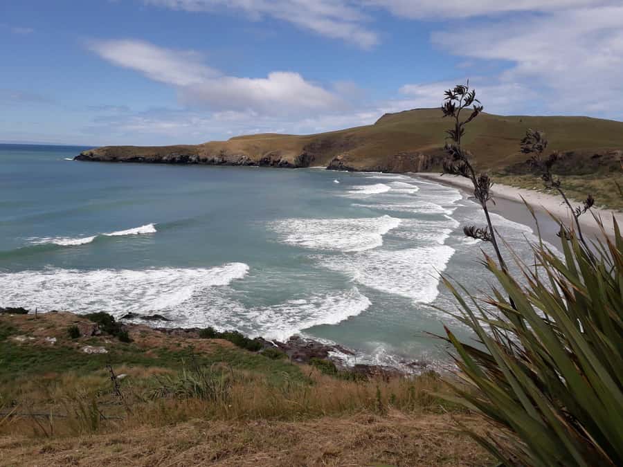 Dunedin: Otago Peninsula with Guided Penguin Reserve Tour - The Railway Station and Dunedin’s grand civic face