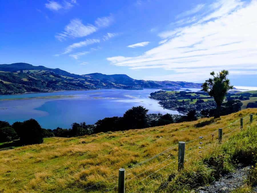 Dunedin: Peninsula with Lanarch Castle gardens & Olveston - What the $173 price really covers