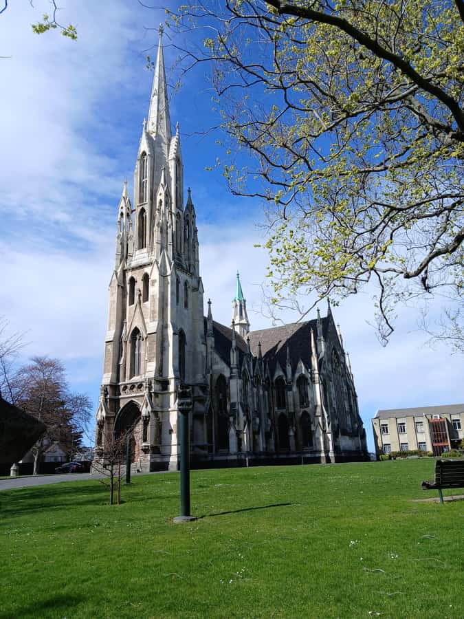Dunedin: Peninsula with Lanarch Castle gardens & Olveston - Guides make the difference