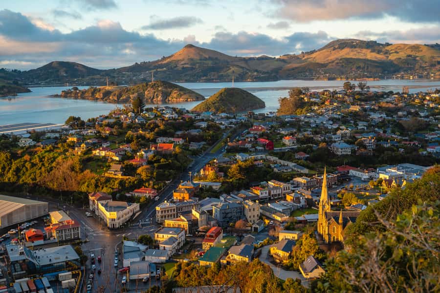 Dunedin: Scenic Railway Tour of Otago's Coastline - Should you book The Seasider?