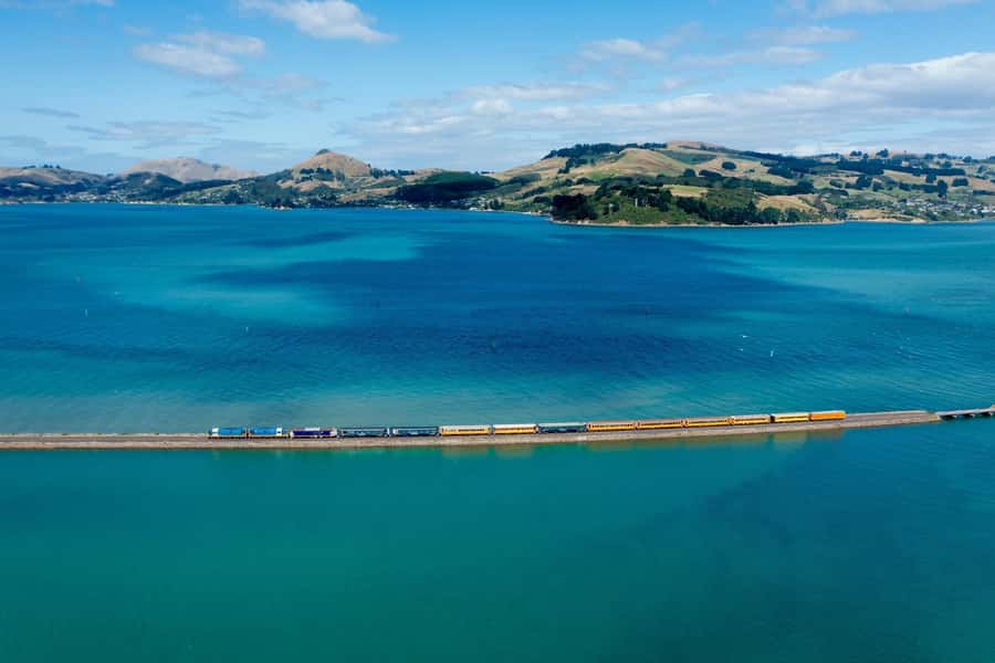 Dunedin: Scenic Railway Tour of Otago's Coastline - Through the Mihiwaka Tunnel