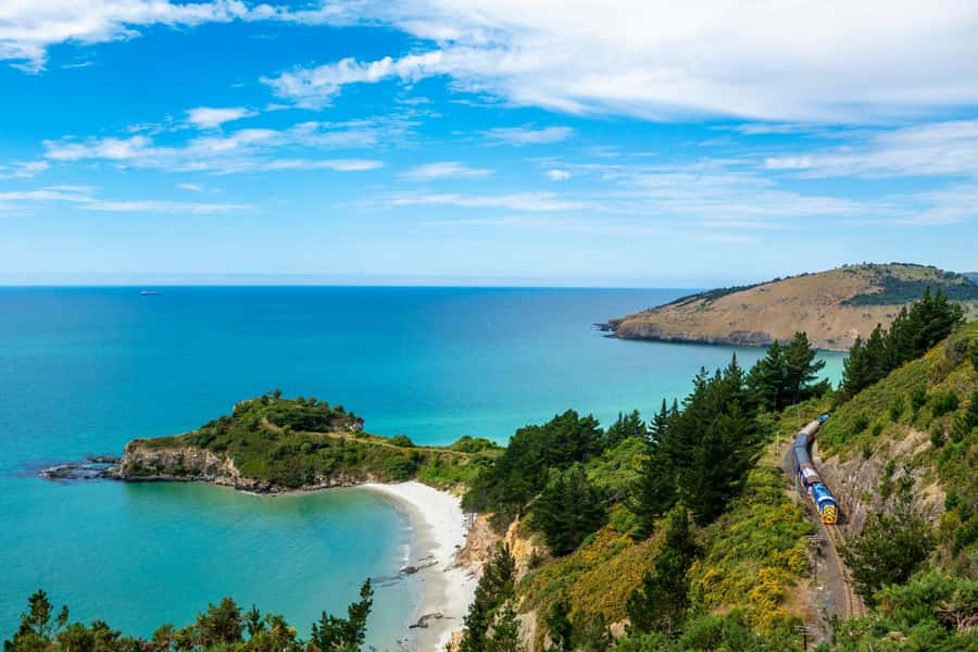 Dunedin: Scenic Railway Tour of Otago's Coastline - Is $77 a fair price?