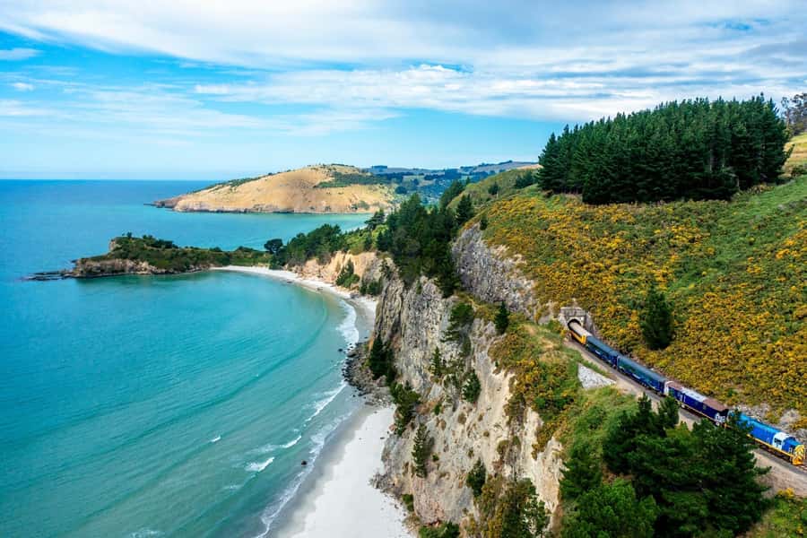 Dunedin: Scenic Railway Tour of Otago's Coastline - Practical advice for a better ride