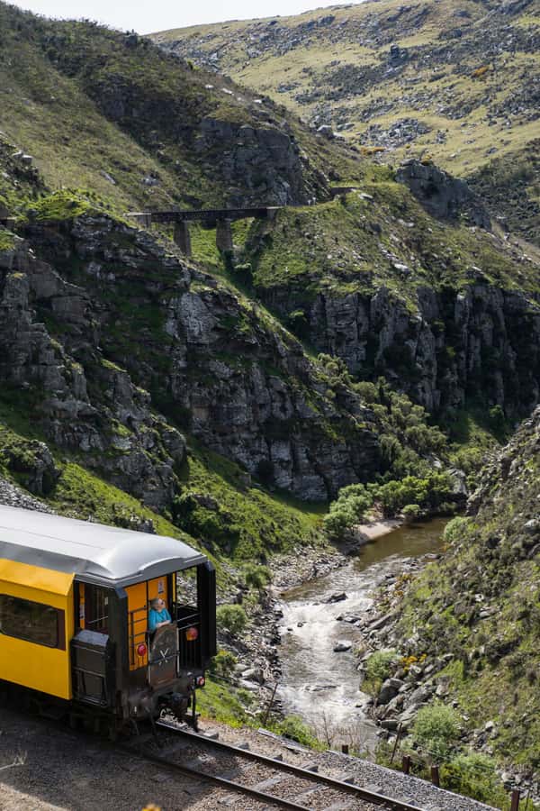 Dunedin: Scenic Railway Tour Through the Taieri Gorge - Food, drinks, and the onboard café