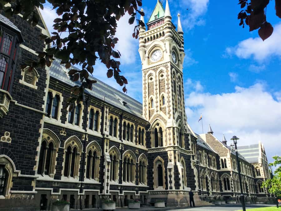 Dunedin: Small Group City Highlights Tour - University of Otago and North Dunedin