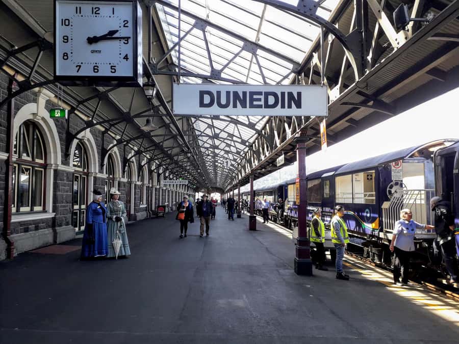 Dunedin: Small Group City Highlights Tour - How the timing affects your day