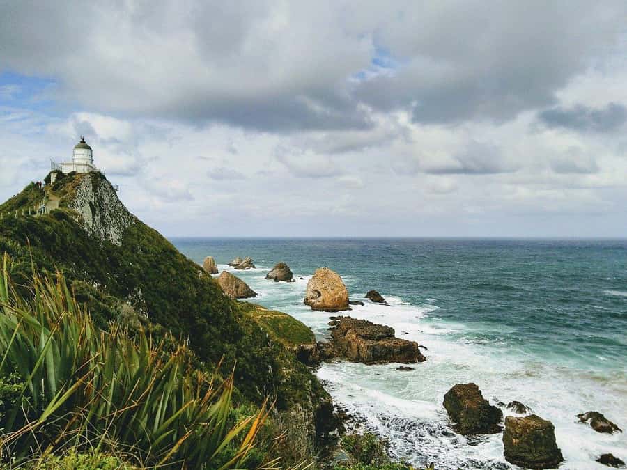 Dunedin to Te Anau via The Catlins & Invercargill 1 Way Tour - Why this one-way route makes sense