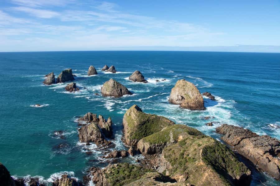 Dunedin to Te Anau via The Catlins & Invercargill 1 Way Tour - Curio Bay and its 180-million-year-old forest