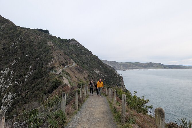 Dunedin to Te Anau via the Catlins One Way Small Group Tour - Papatowai and the Lost Gypsy Caravan