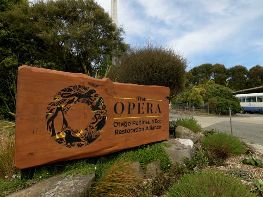 Dunedin: Wildlife and Penguin Tour - The theatre presentation explains the purpose