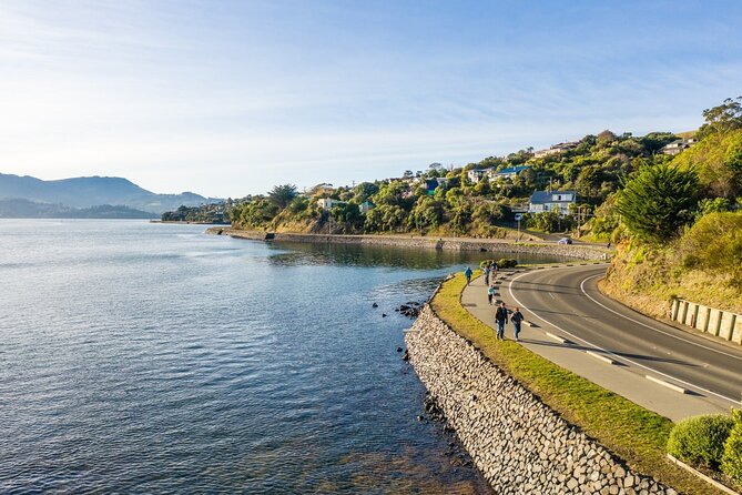 Electric Bike Rental - Who will enjoy this Dunedin bike rental?