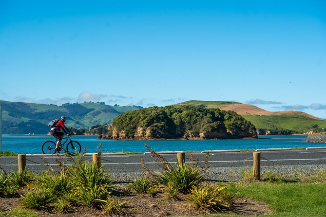 Electric Bike Rental - Choosing between Portobello and Port Chalmers