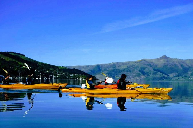 Electric Mountain Bike & Sea Kayak Tour in Akaroa - Is $176.86 Good Value?