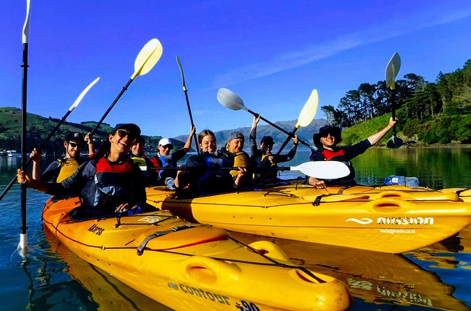 Electric Mountain Bike & Sea Kayak Tour in Akaroa - Fitness, Age, and Weather Considerations