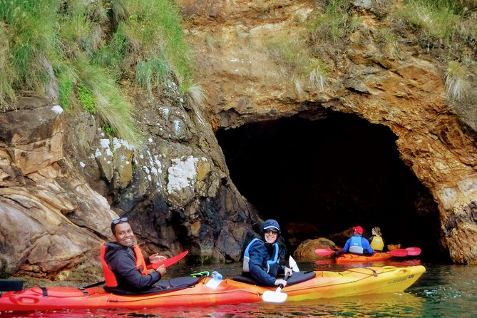 Electric Mountain Bike & Sea Kayak Tour in Akaroa - The Lava Loop and the Climb to the Crater