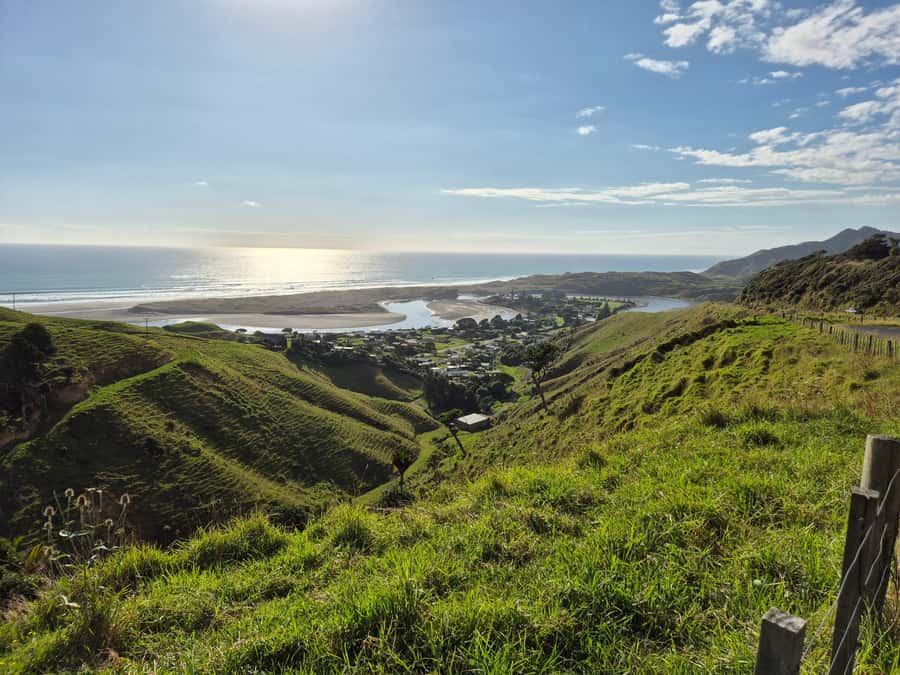 Enchanting Waitomo: Ride, Revel and Radiate on our eBikes - Forest sounds, rock shapes and mountain glimpses