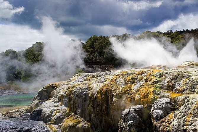 Ex Auckland: Rotorua Māori Village with Haka and Hot Springs - Whakarewarewa, where geothermal life meets Māori culture