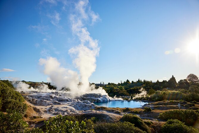 Ex Auckland: Rotorua Māori Village with Haka and Hot Springs - The long return to Auckland