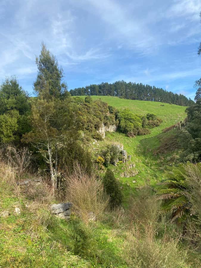 Ex Auckland Spellbound Glowworm & Cave Explorer Private Tour - Why the guide matters here