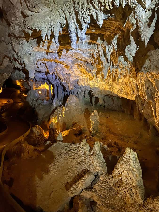Ex Auckland Spellbound Glowworm & Cave Explorer Private Tour - Otorohanga gives you a useful meal break