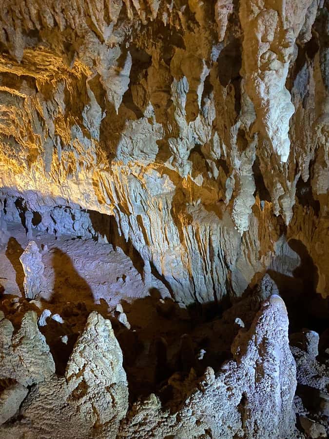 Ex Auckland Spellbound Glowworm & Cave Explorer Private Tour - Entering Spellbound’s Glowworm Grotto