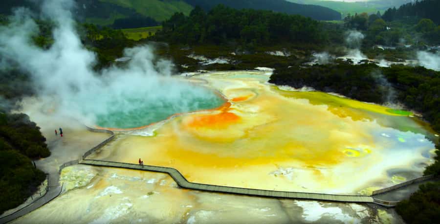 Ex Hamilton: Triple Deal WAI-O-TAPU, Redwood & Blue Springs - The Te Waihou Walkway and Blue Springs