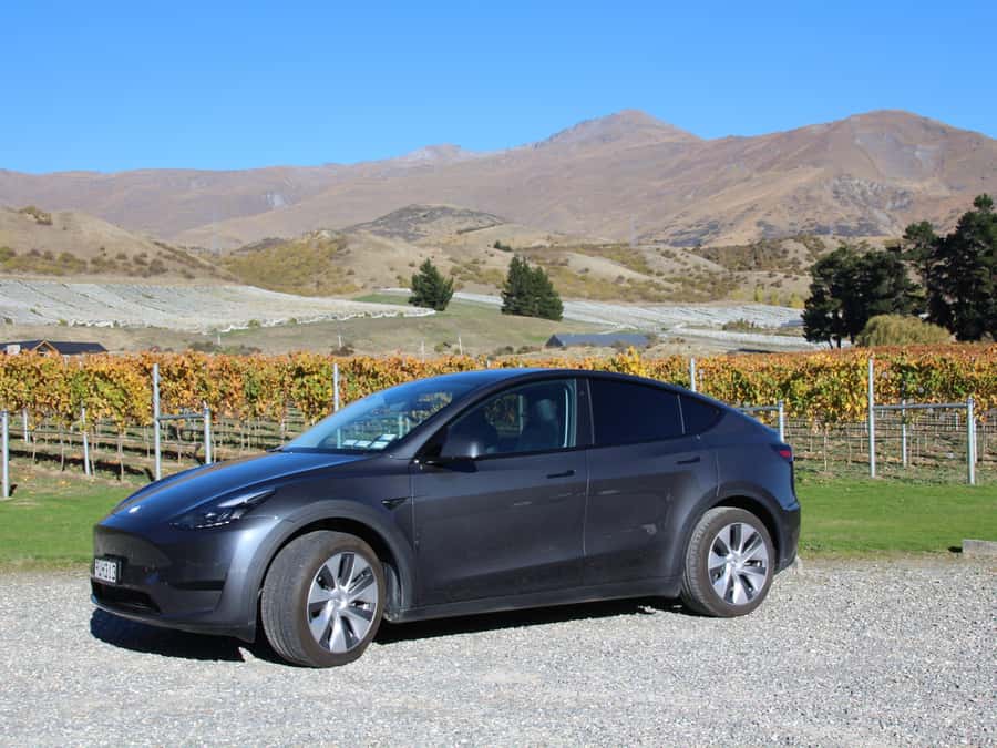 Exclusive Classic Wine Tour - Third winery: choosing a premium glass