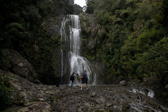 Explore BLACK SAND PIHA BEACH, and Water Falls in West Auckland - Leaving Auckland for the west coast