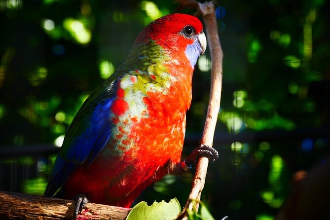 Explore gardens & galleries filled with incredible art, Matakana - How long should you allow?