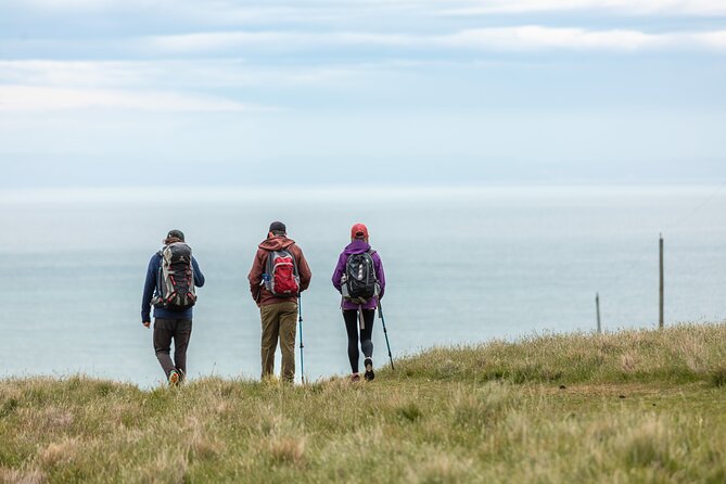 Explore Godley Head, Lyttelton & Christchurch (Small Group Tour) - Half-day or full-day: choosing the right version