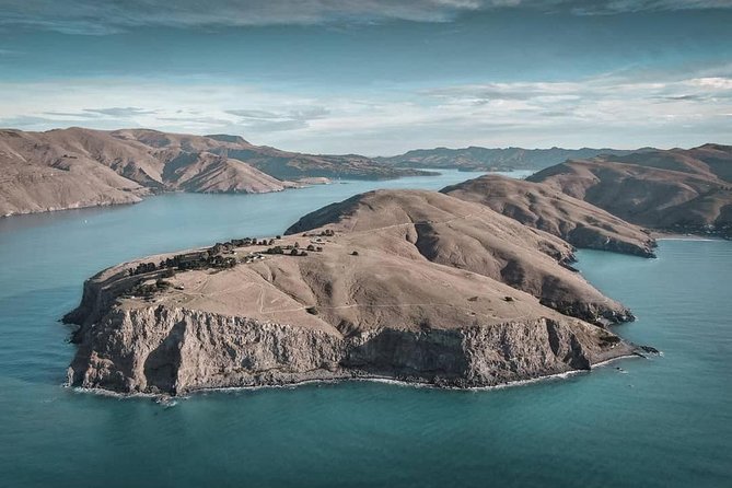 Explore Godley Head, Lyttelton & Christchurch (Small Group Tour) - Beginning in Lyttelton, Christchurch’s port town