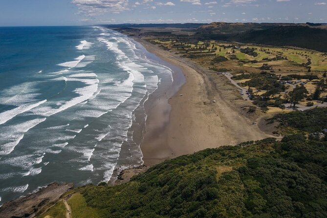 Explore West Auckland with Winery - Why West Auckland makes a good day trip