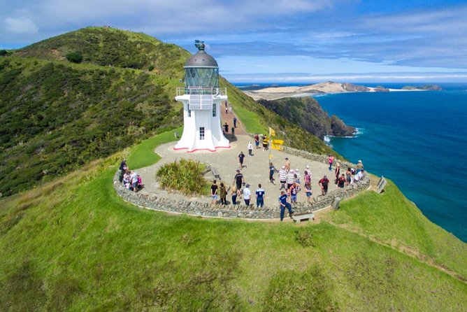 Far North New Zealand Tour Including 90 Mile Beach and Cape Reinga from Paihia - Key points to know before booking