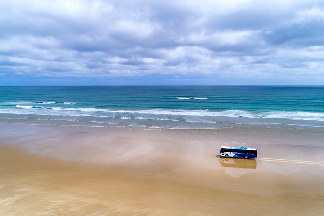Far North New Zealand Tour Including 90 Mile Beach and Cape Reinga from Paihia - Why this Far North trip is worth your day