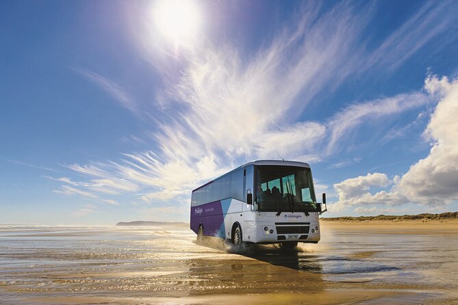 Far North New Zealand Tour Including 90 Mile Beach and Cape Reinga from Paihia - Riding the coach along Ninety Mile Beach