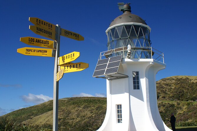 Far North New Zealand Tour Including 90 Mile Beach and Cape Reinga from Paihia - Sandboarding at Te Paki Sand Dunes