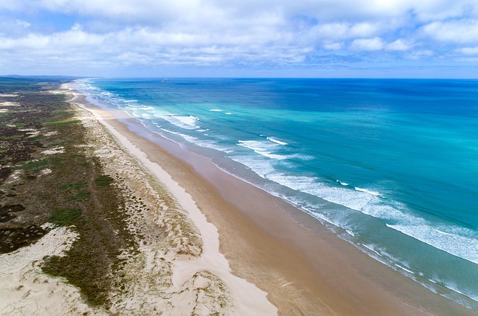 Far North New Zealand Tour Including 90 Mile Beach and Cape Reinga from Paihia - Who will enjoy this tour most