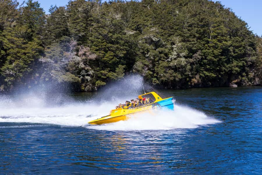 Fiordland: Jet Boat & Nature Walk Experience from Te Anau - Key points at a glance