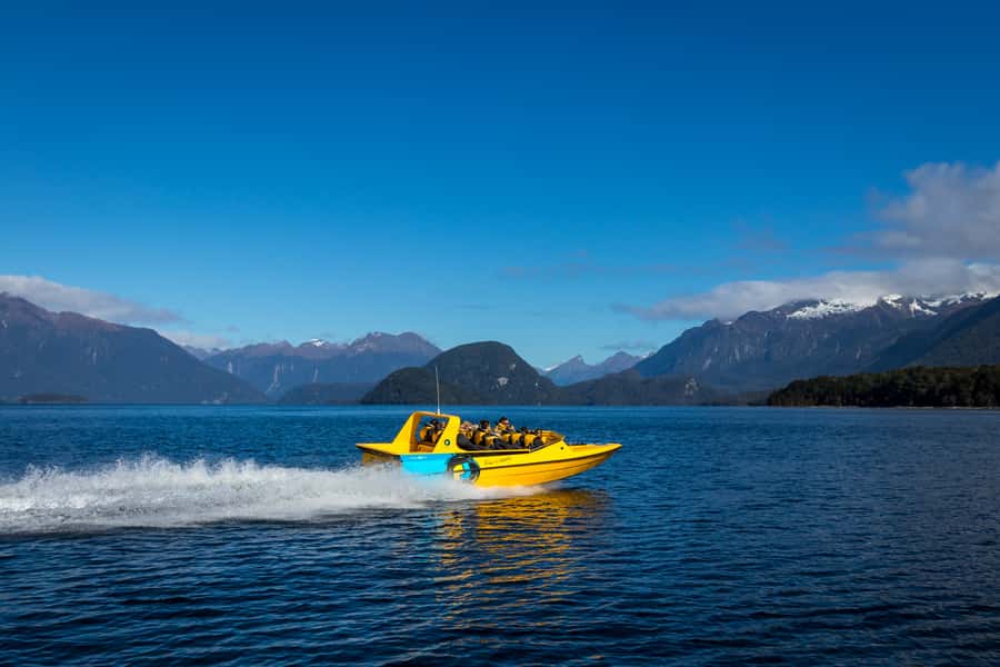 Fiordland: Jet Boat & Nature Walk Experience from Te Anau - Trout, beech trees, and the value of slowing down