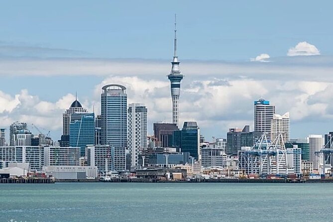 Four Hour Private Auckland Sightseeing Tour - Key Points Before You Book