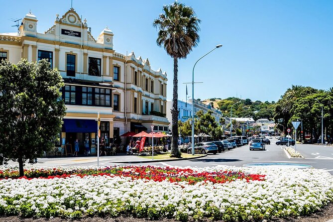Four Hour Private Auckland Sightseeing Tour - Cornwall Park and One Tree Hill Add Breathing Room