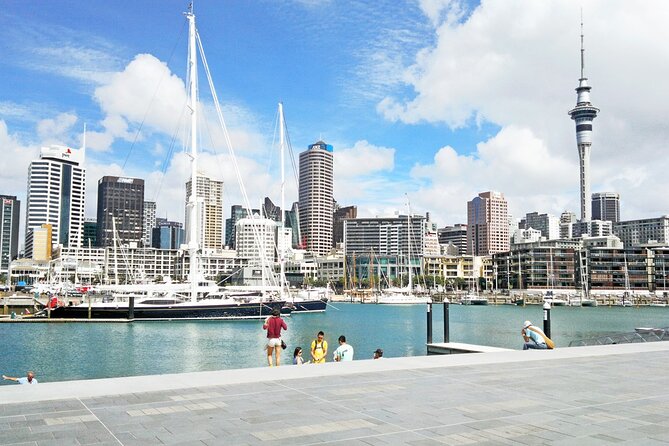 Four Hour Private Auckland Sightseeing Tour - Achilles Point Looks Toward Rangitoto